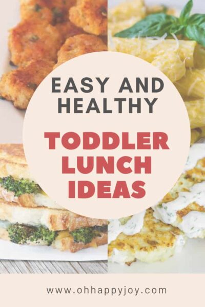 Easy and Healthy Toddler Lunch Ideas - Oh Happy Joy!
