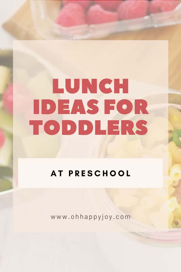 Lunch Ideas for Toddlers at Preschool - Oh Happy Joy! Journey of Motherhood