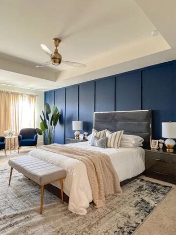 View of Navy Blue Accent Wall In Bedroom