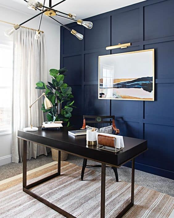 Navy blue office walls