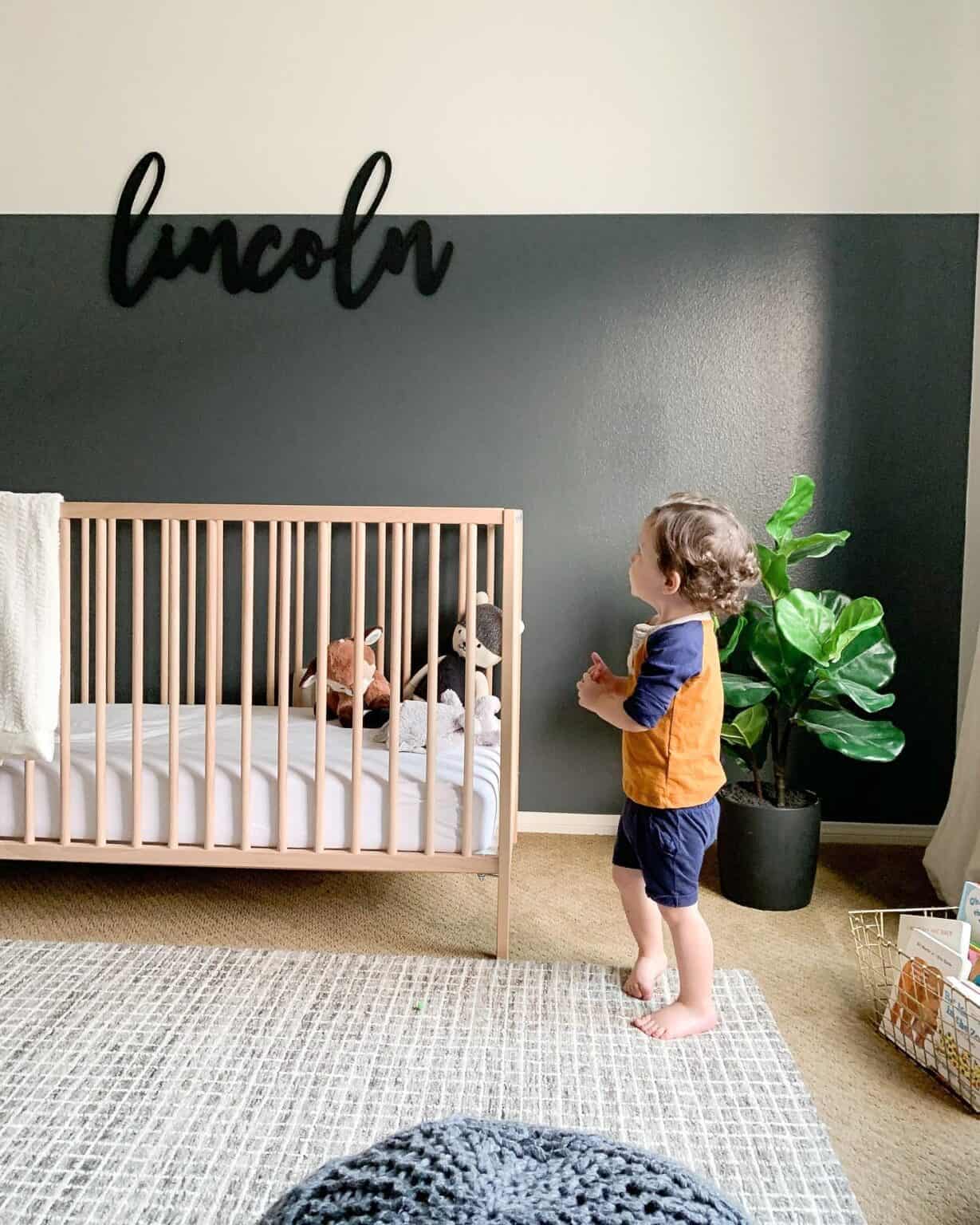 Navy Blue Accent Wall