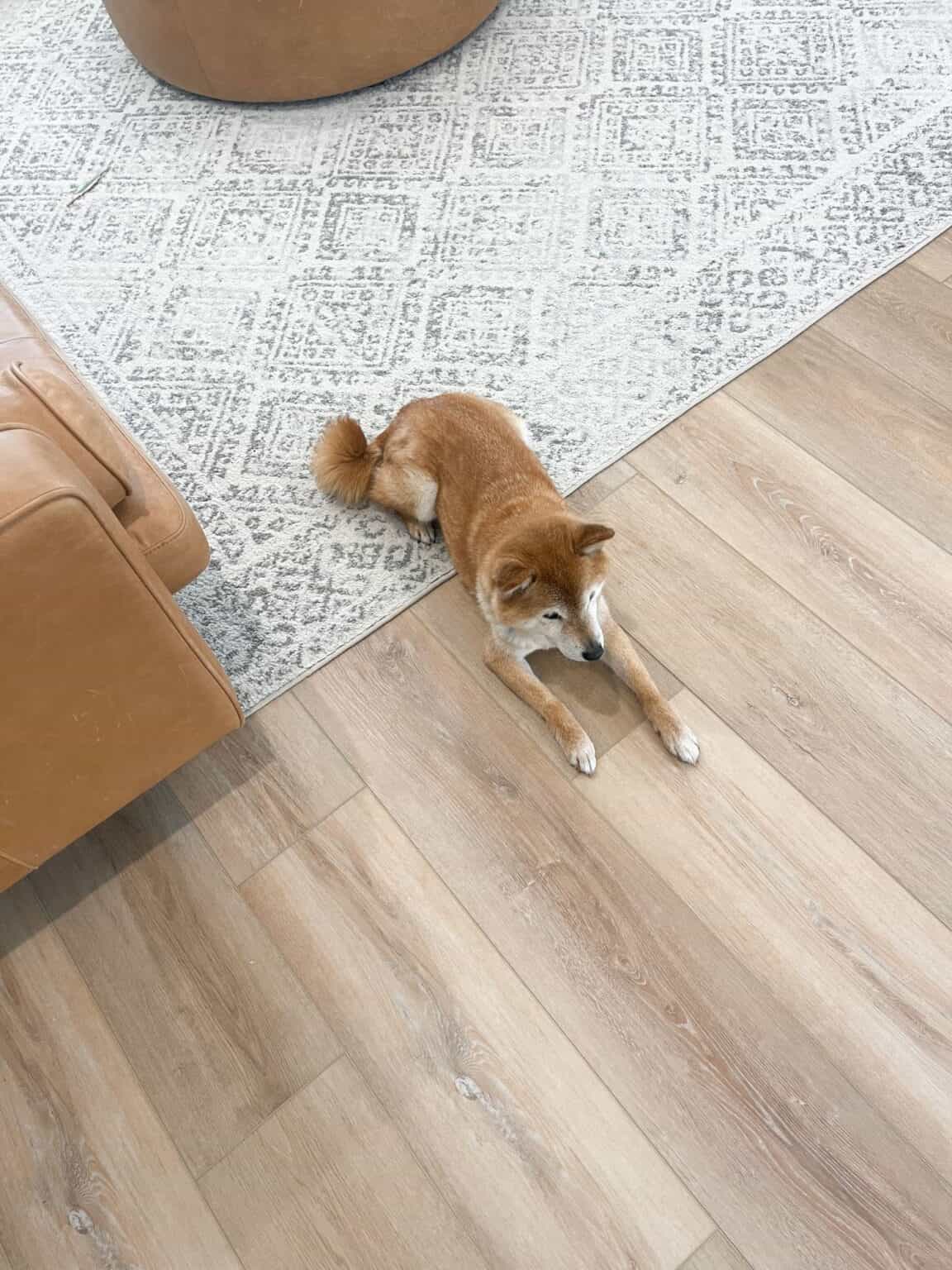 Coretec Cairo Oak Review - Oh Happy Joy!