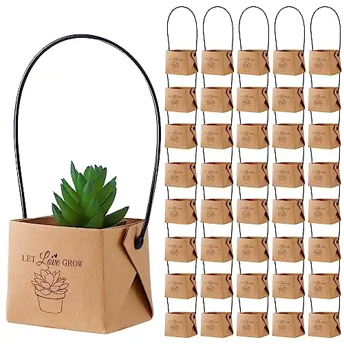 Baby Shower Favors - Paper Succulent Gift Bags