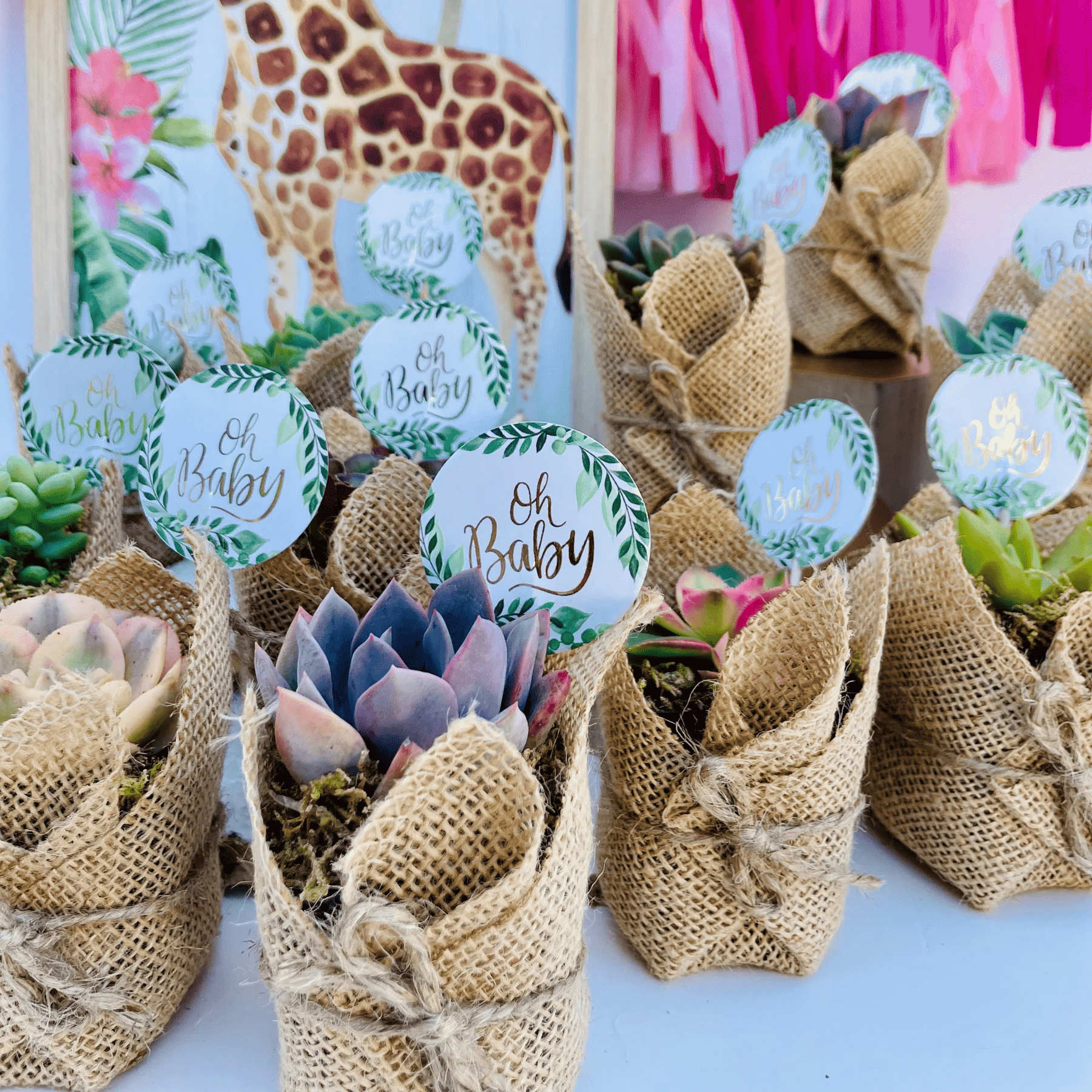 Succulents - Baby Shower Favors