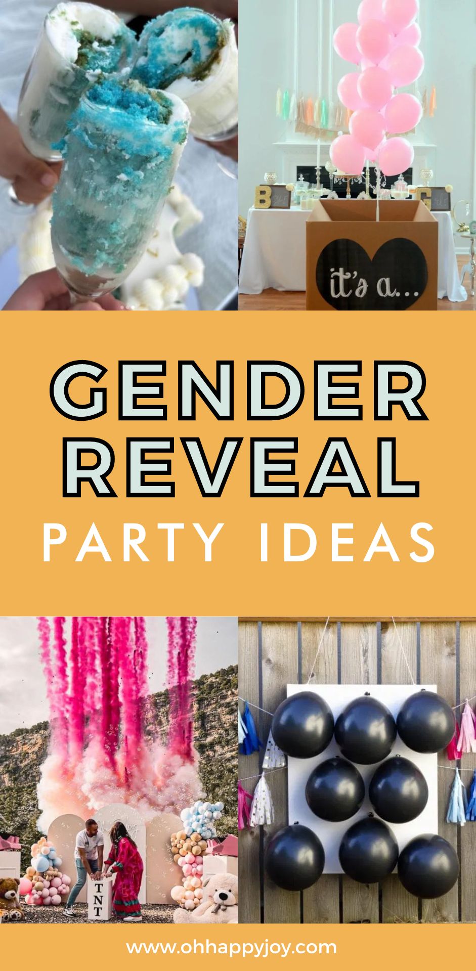 Gender Party Reveal Ideas