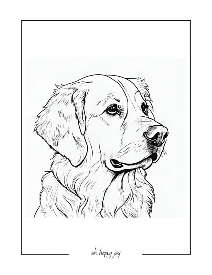 Golden Retriever Coloring Pages - Oh Happy Joy!