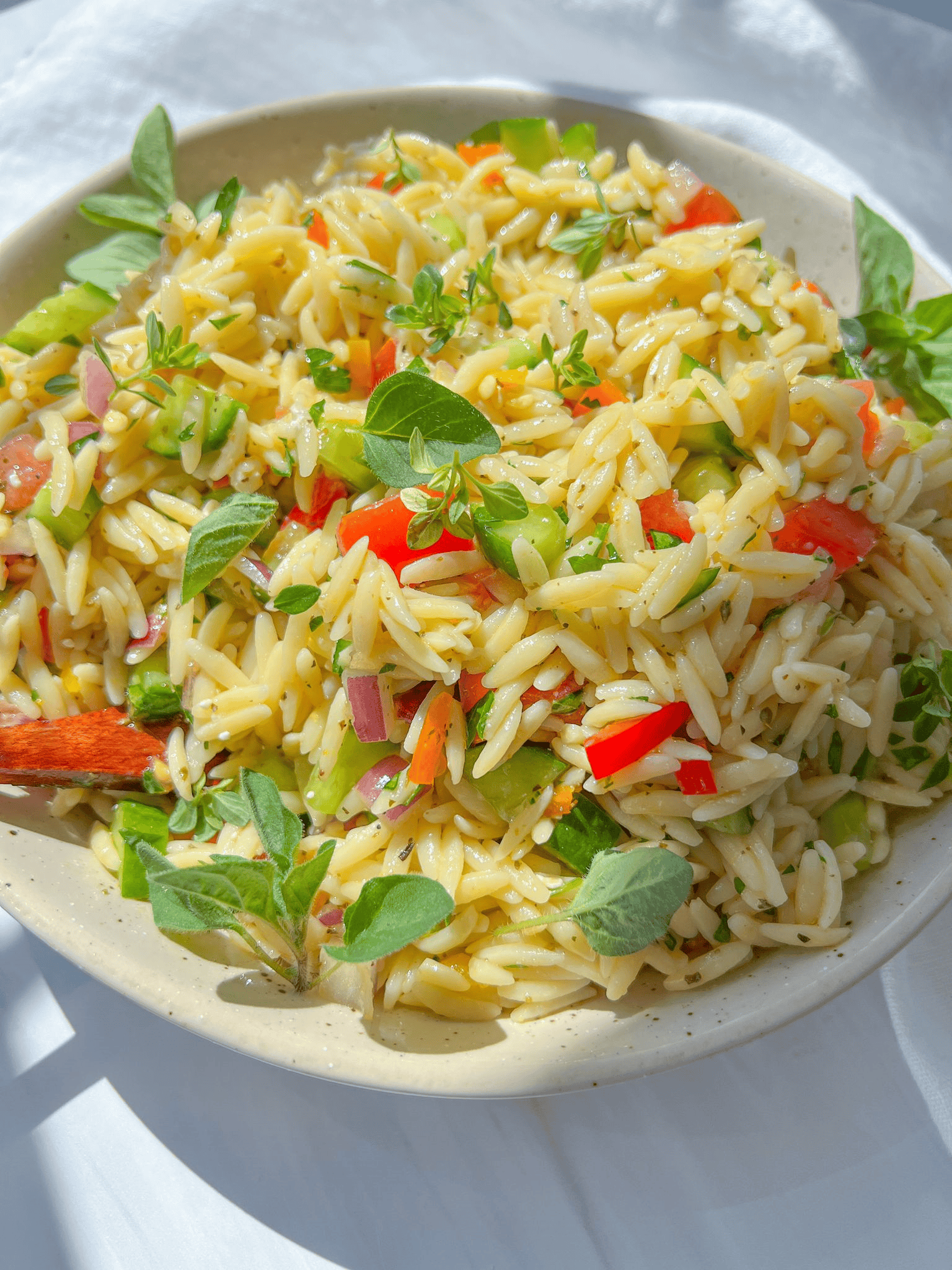 Easy and Cold Pasta Salad Recipes - Orzo Pasta Salad