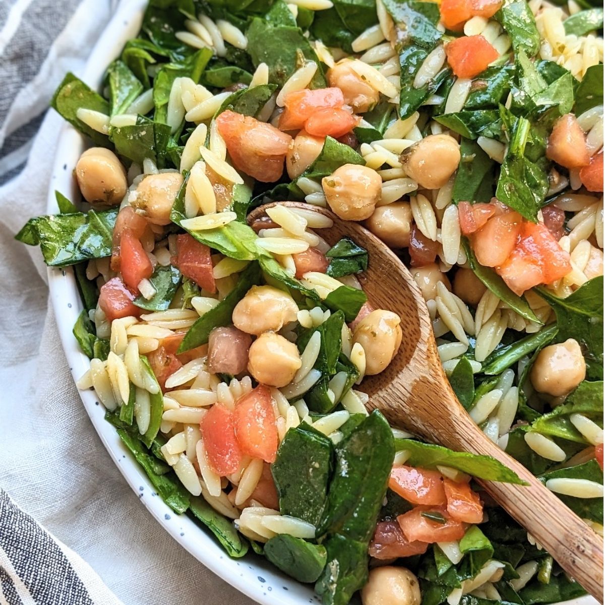 Easy and Cold Pasta Salad Recipes - Orzo & Spinach Pasta Salad
