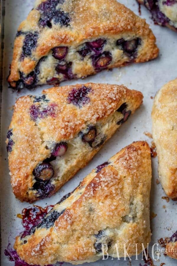 Tea Party Scones - Blueberry Scones